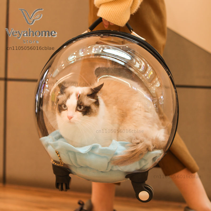 Kedi Çantası Açık Hava Taşınab - Backpack Diaper Bag incelemesi ve fiyatı